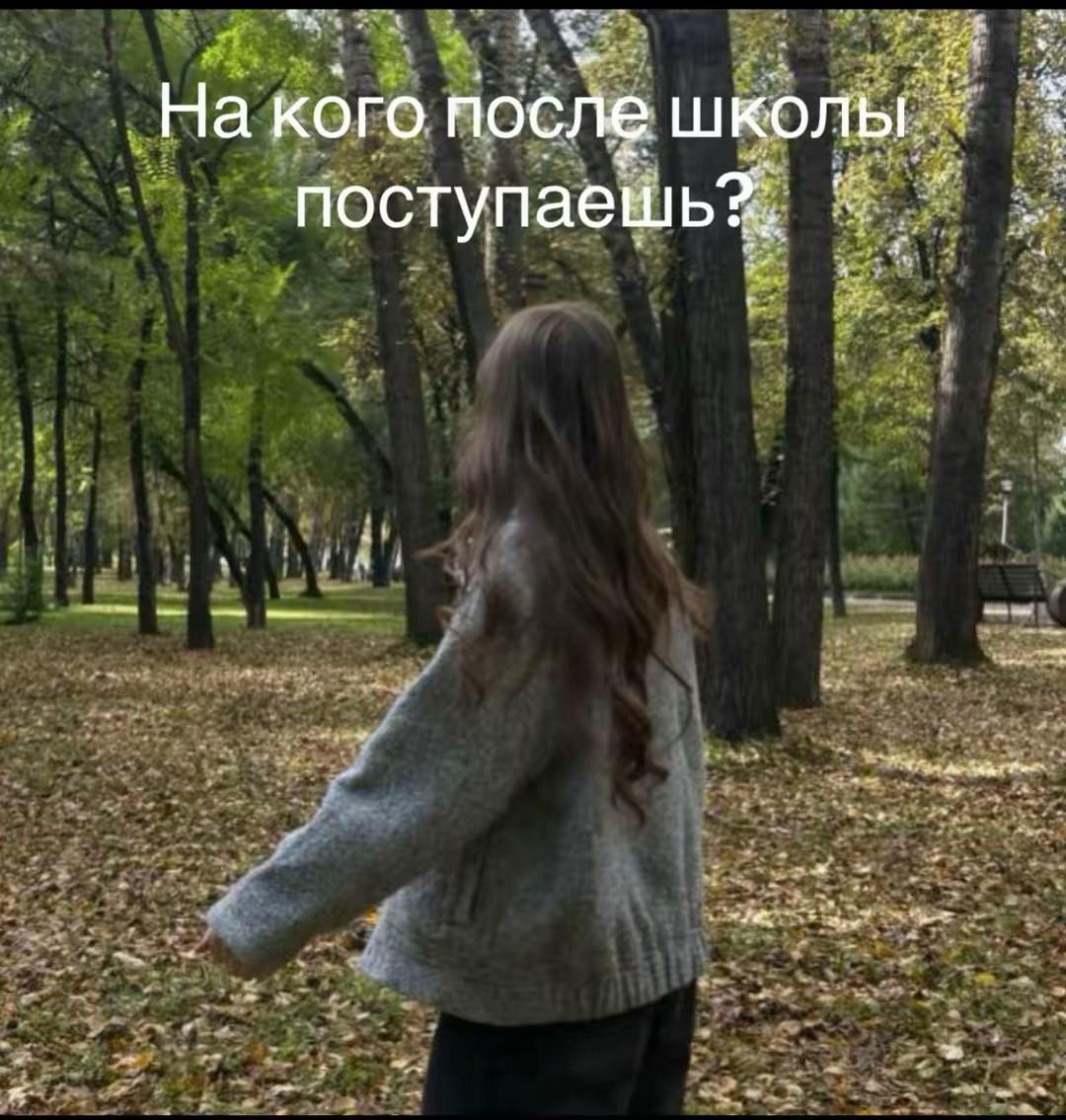 @anikss