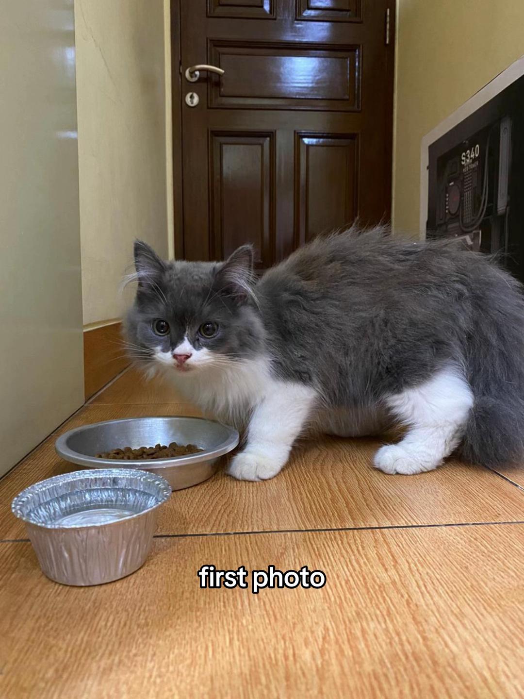 @buN