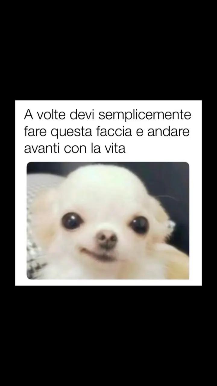 @Vedova Nera 🕷️2