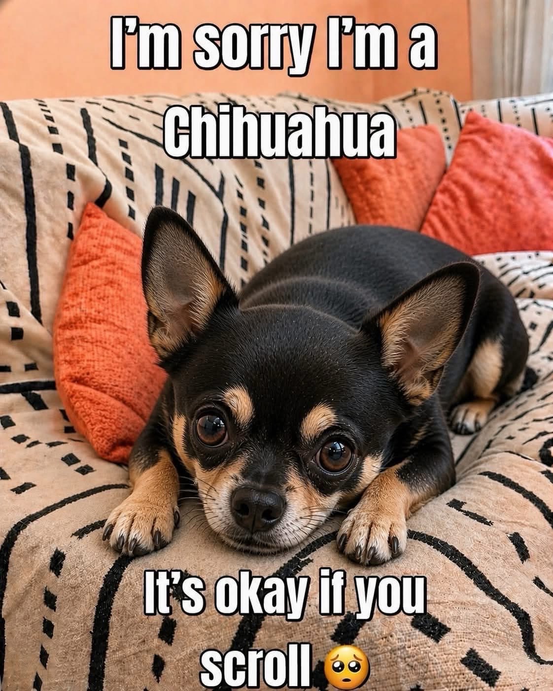 @ginnyranno