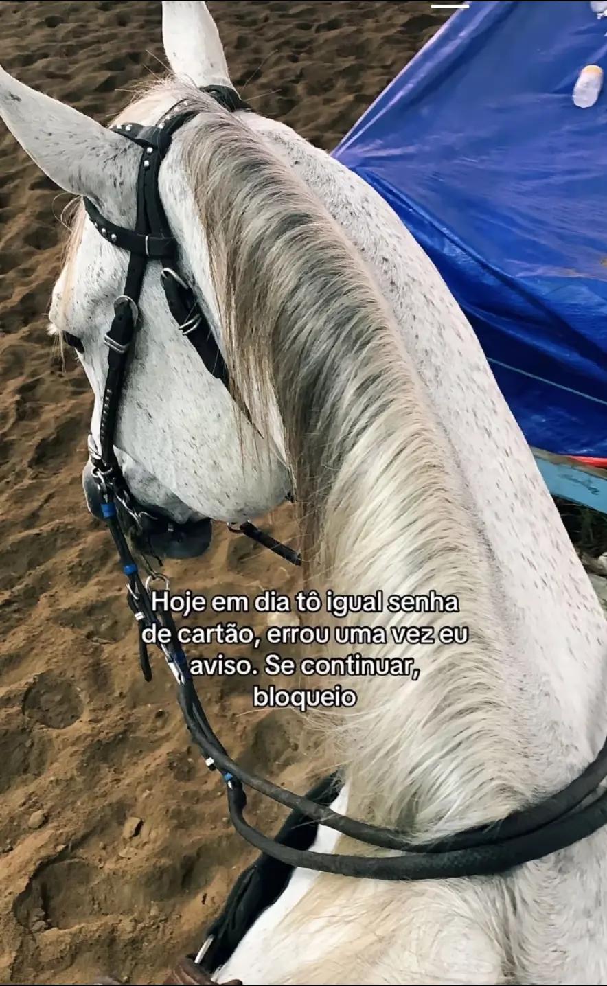 @Sofia Souza