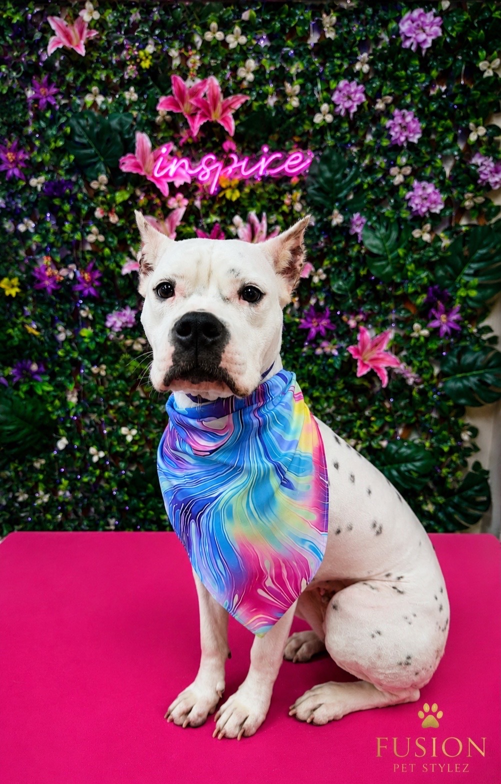 @fusionpetstylez