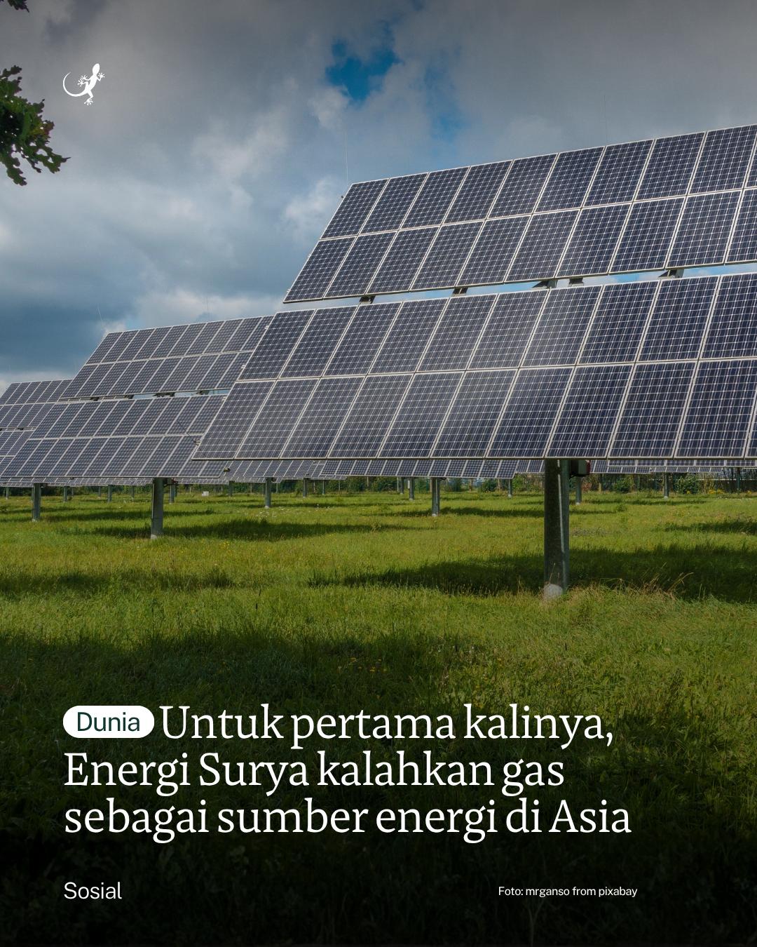 @mongabayindonesia