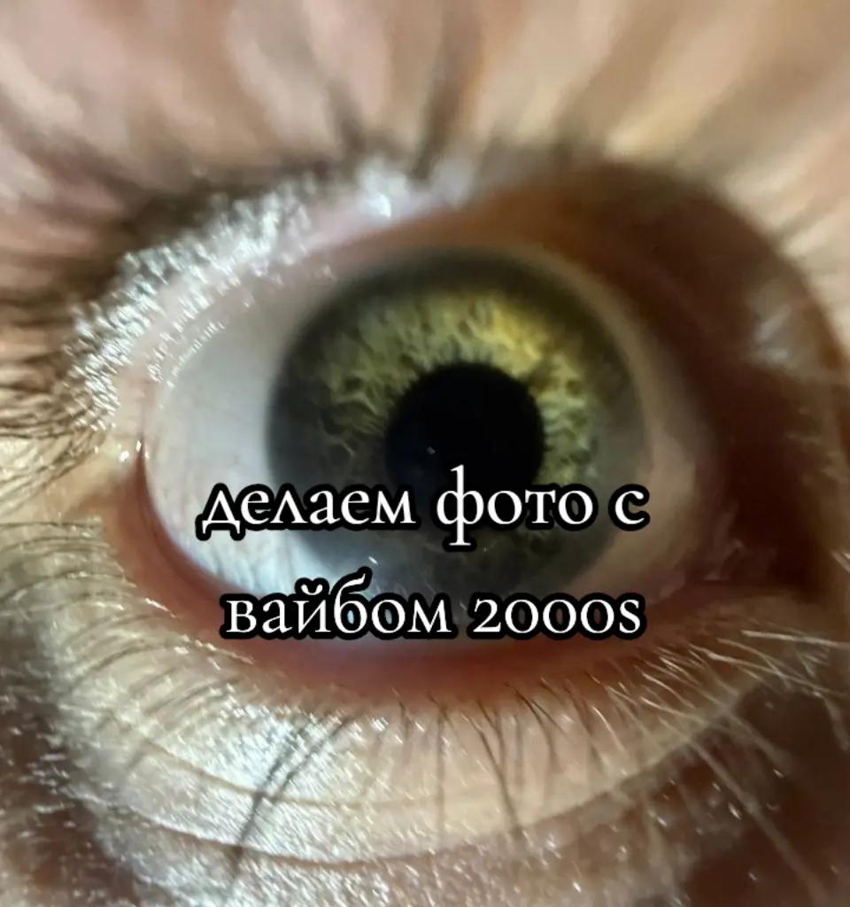 @ⲁⲗ&upsilon;ⲥⲁ-ⲃ-ⲥⲧⲣⲁⲏⲉ-ⲃⲉպⲉⲥⲧⲃ