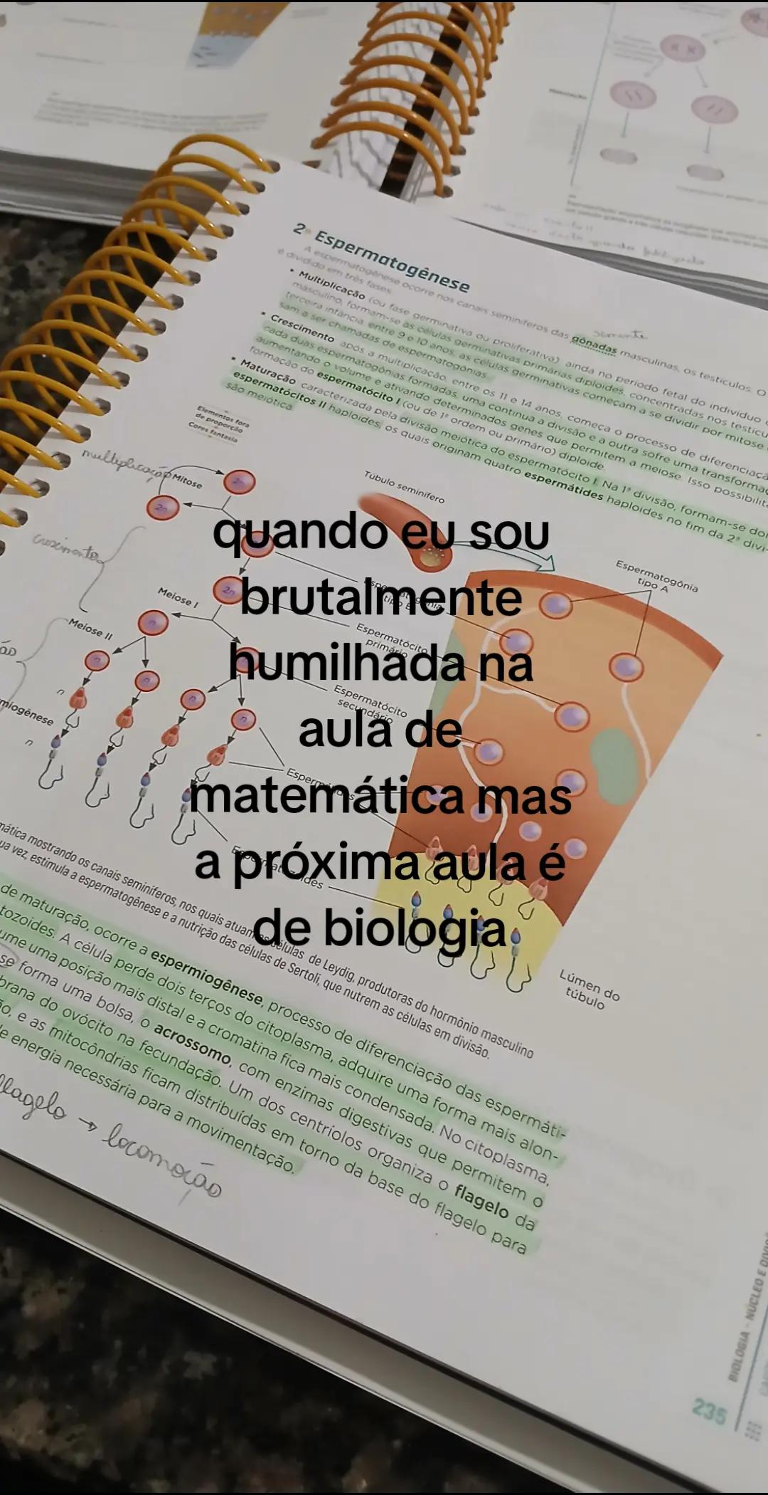 @sah⁷