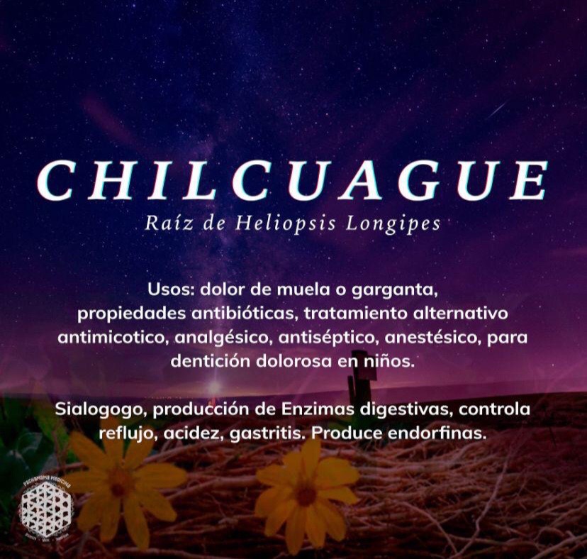 @EspacioDMT