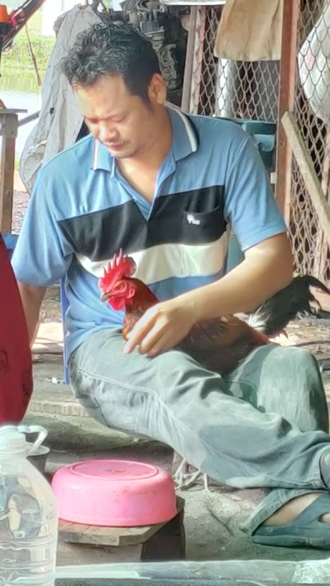 @daraneerungrueang