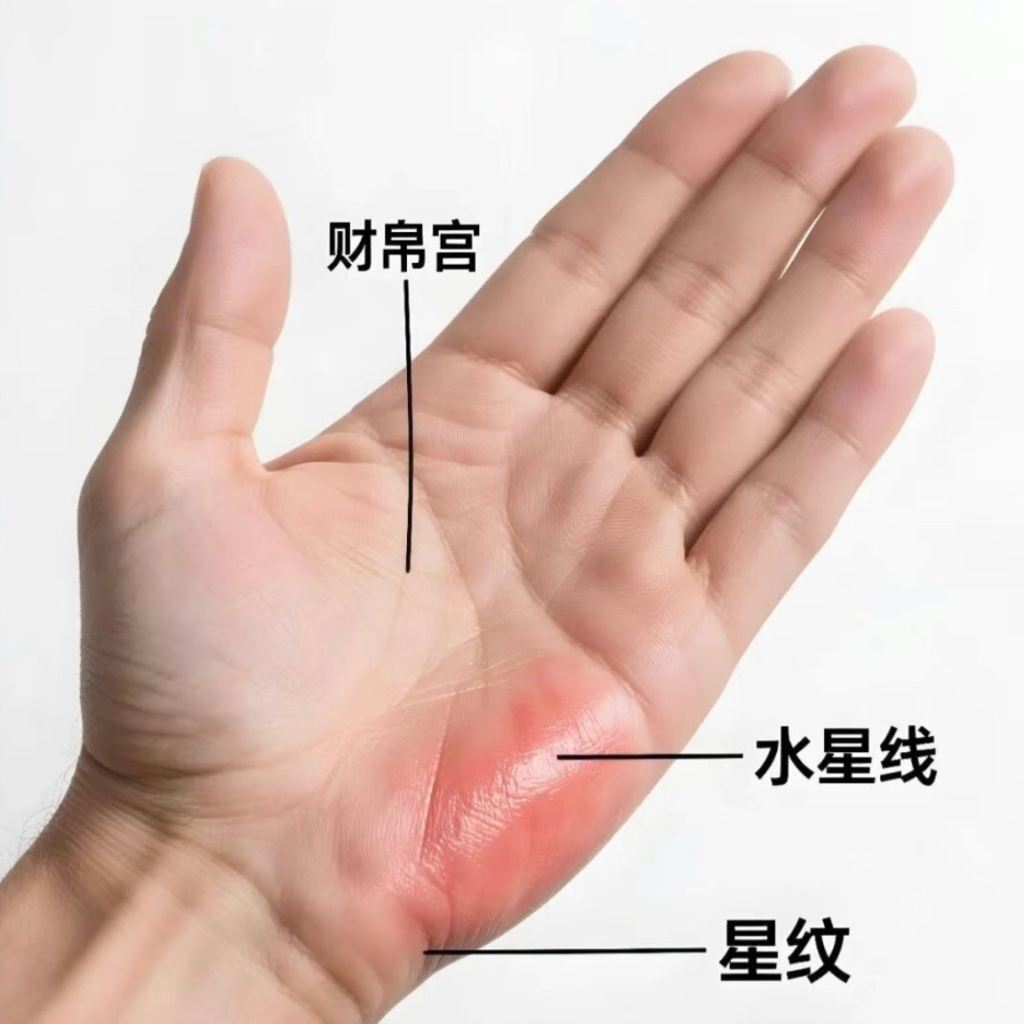 @☯️米小玄&mdash;北美小道☯️
