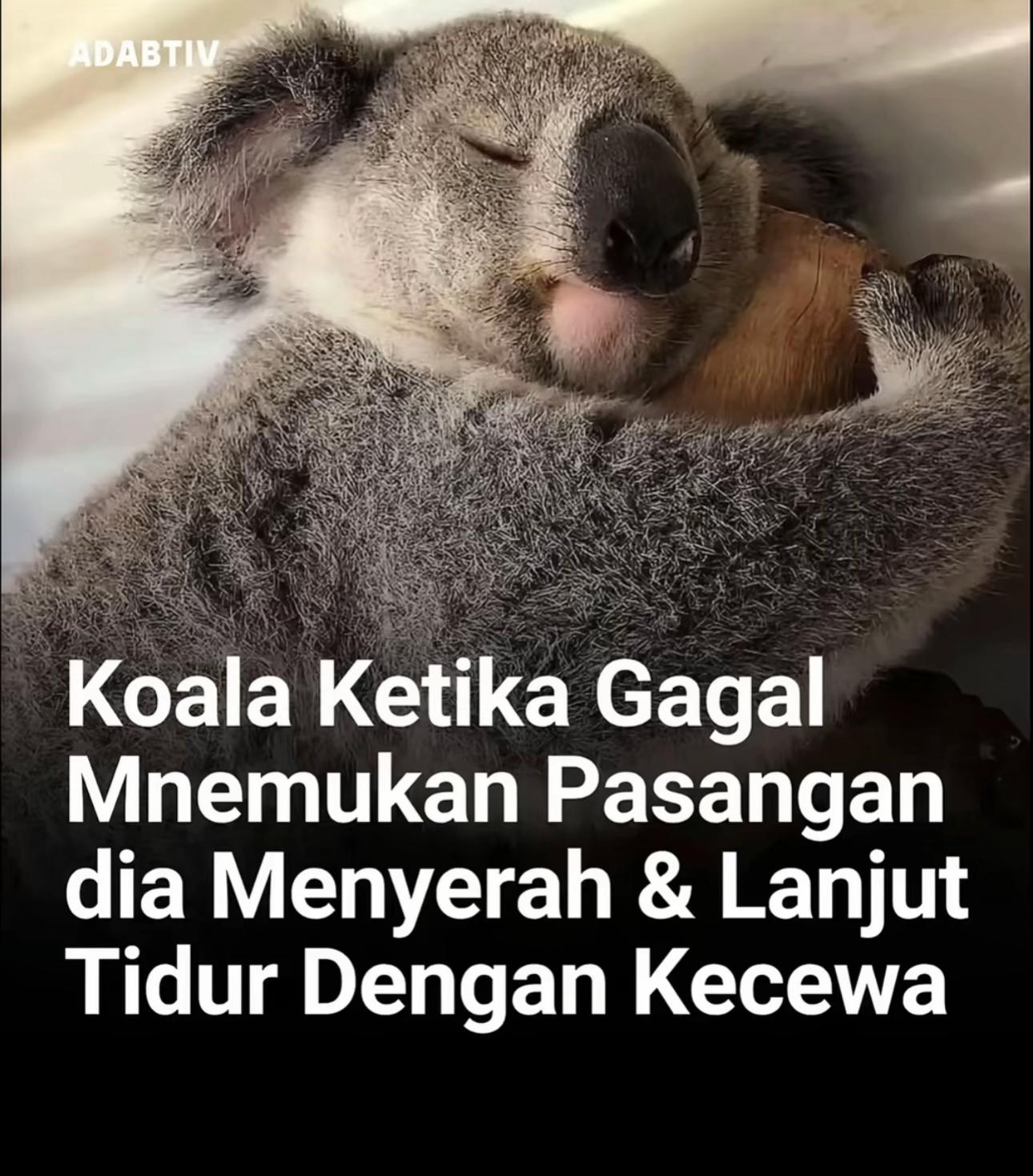 @jejepiiboy