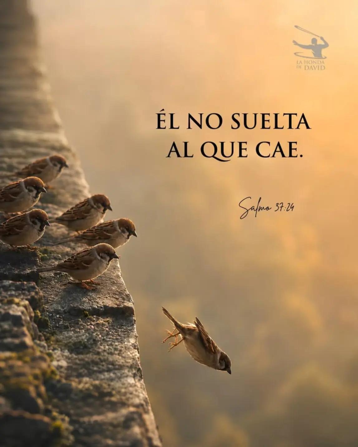 @Ingrid Moreno