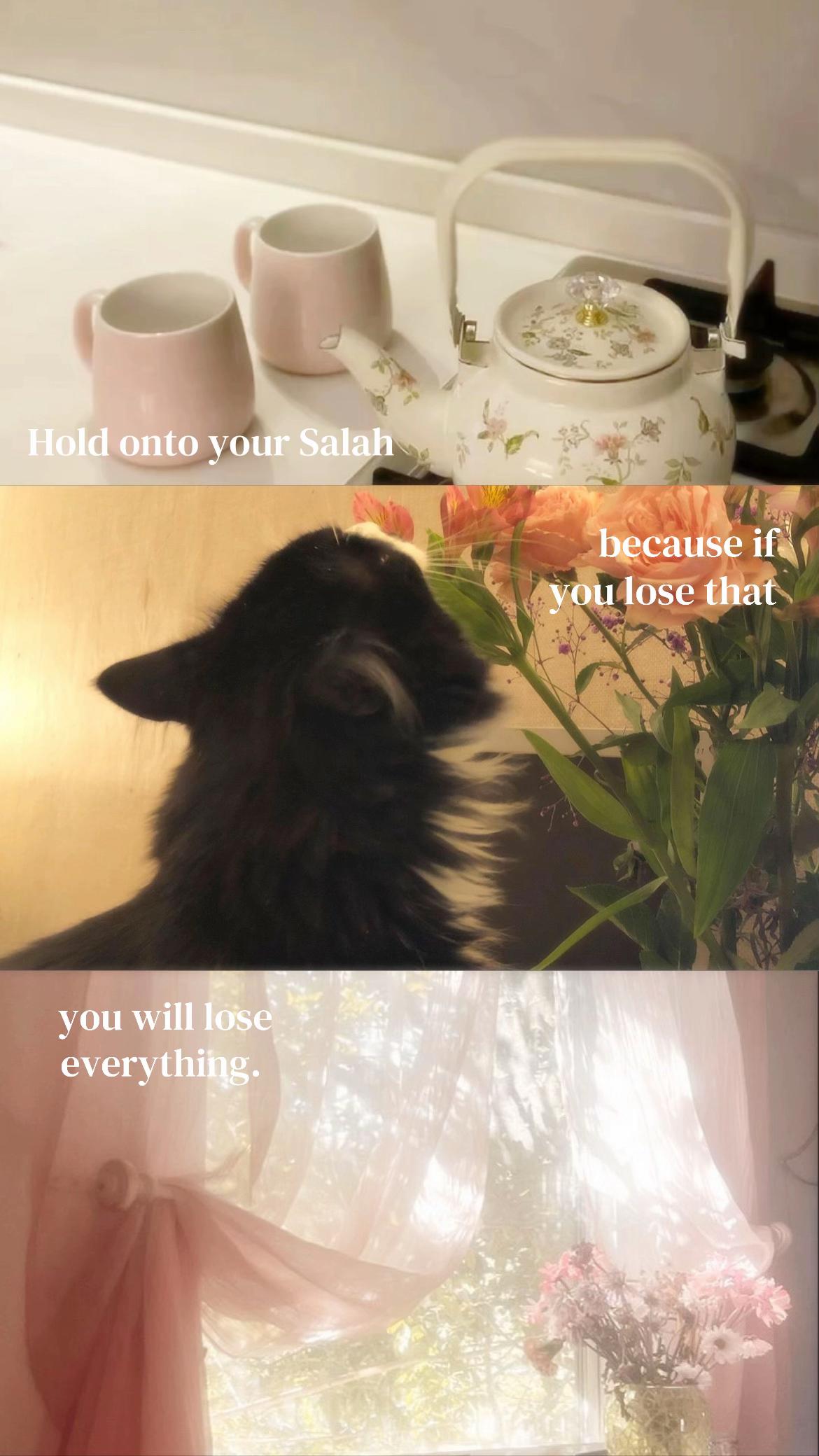 @🌺