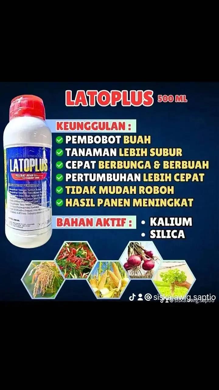 @Awig Shop Jaya Santosa