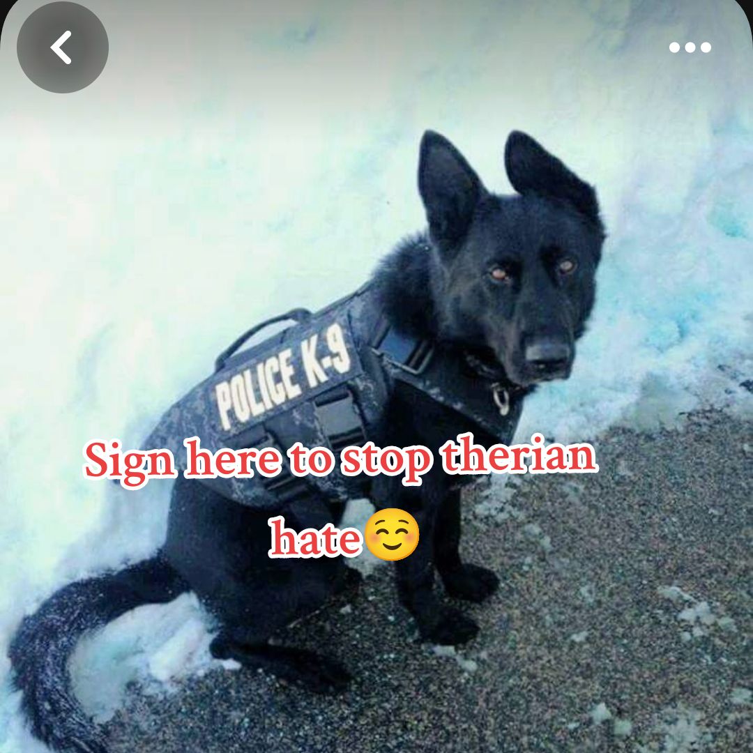 @🐾🌪️~Karma~🌪️🐾