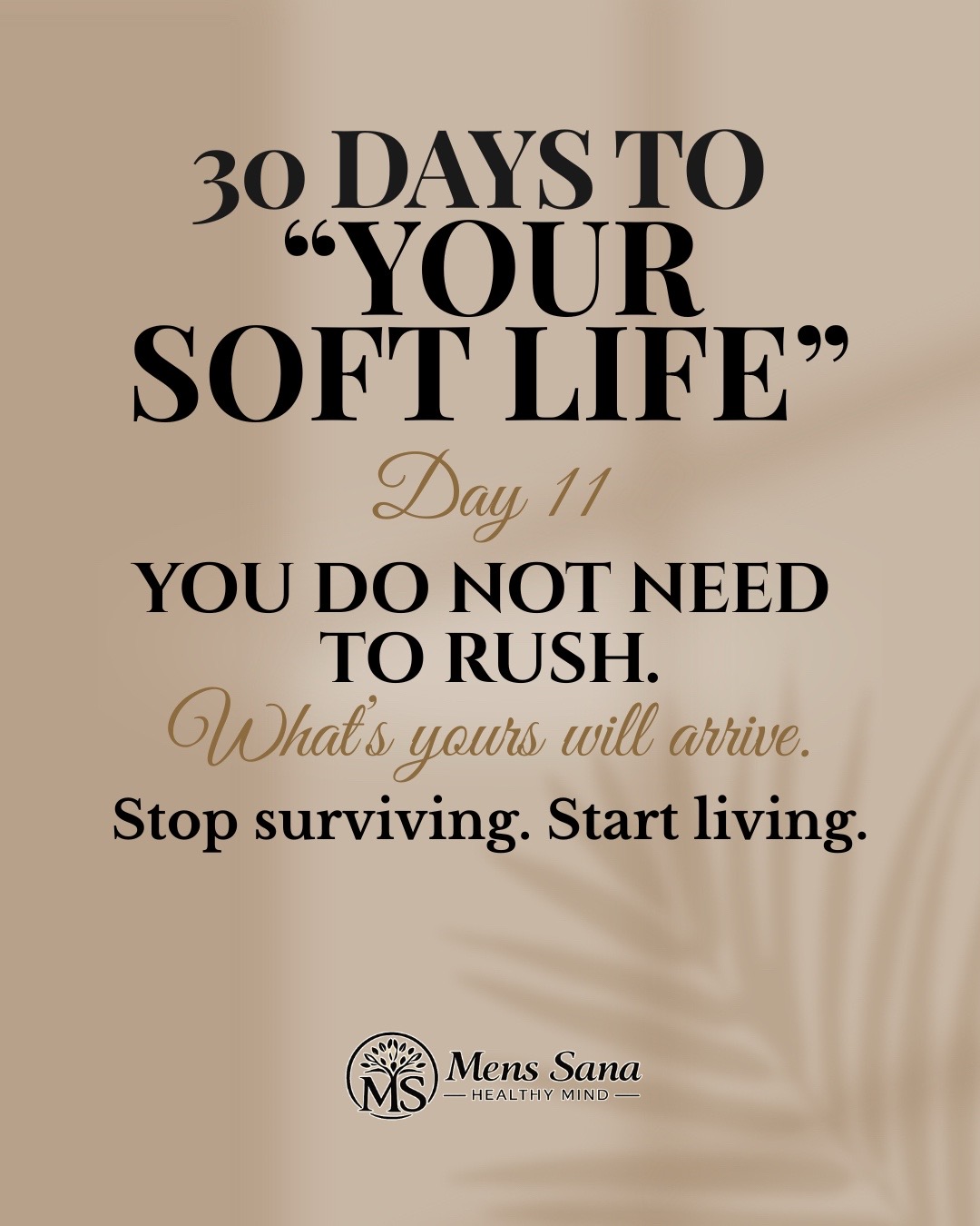 @Mens Sana “healthy mind” 8049