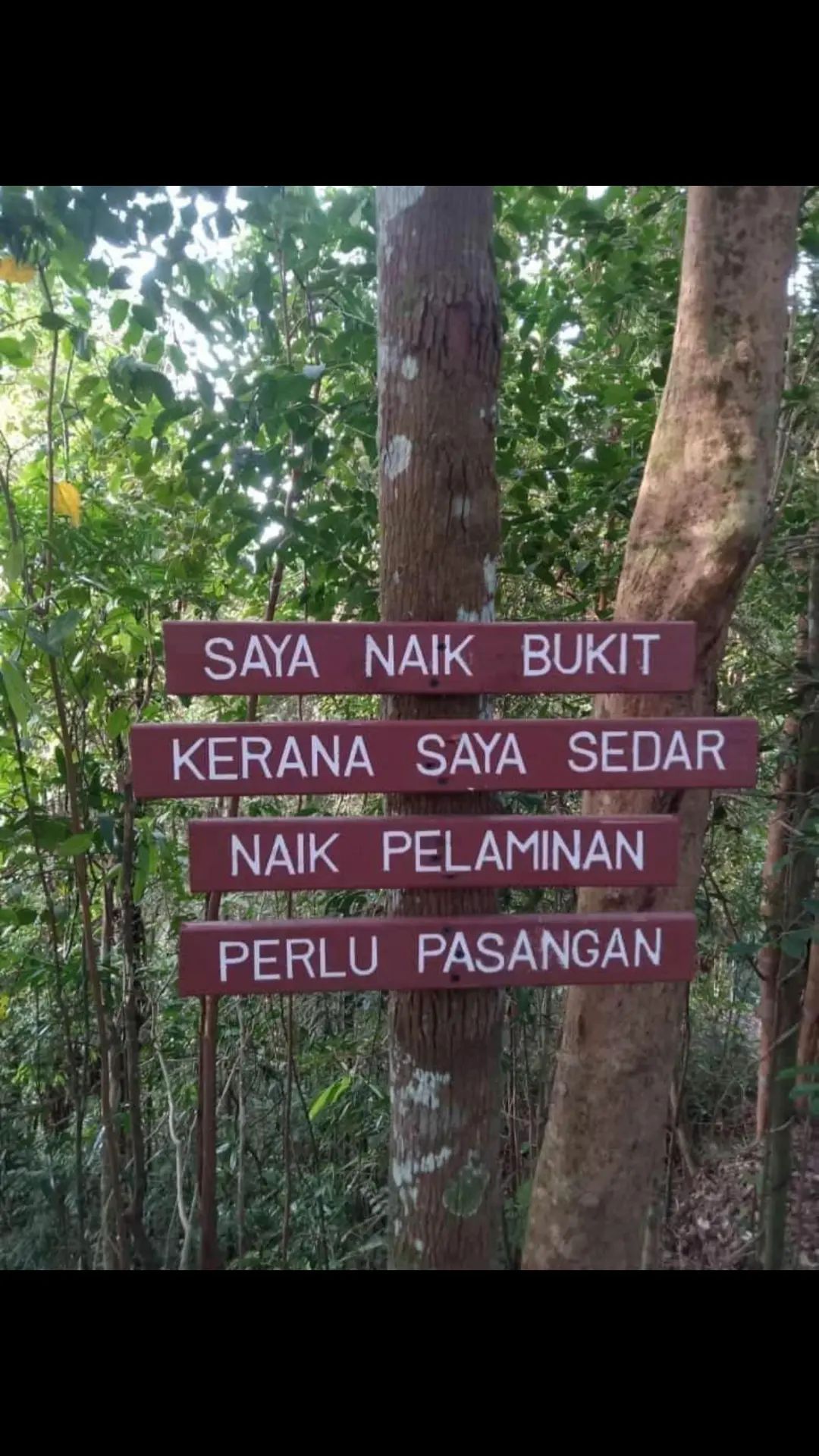 @MOHAMMAD ALIF IZZUDIN ⛔