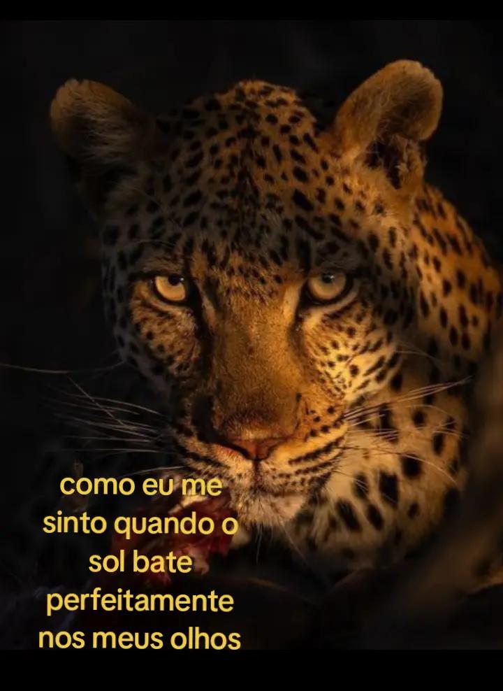 @Rose Catozzo