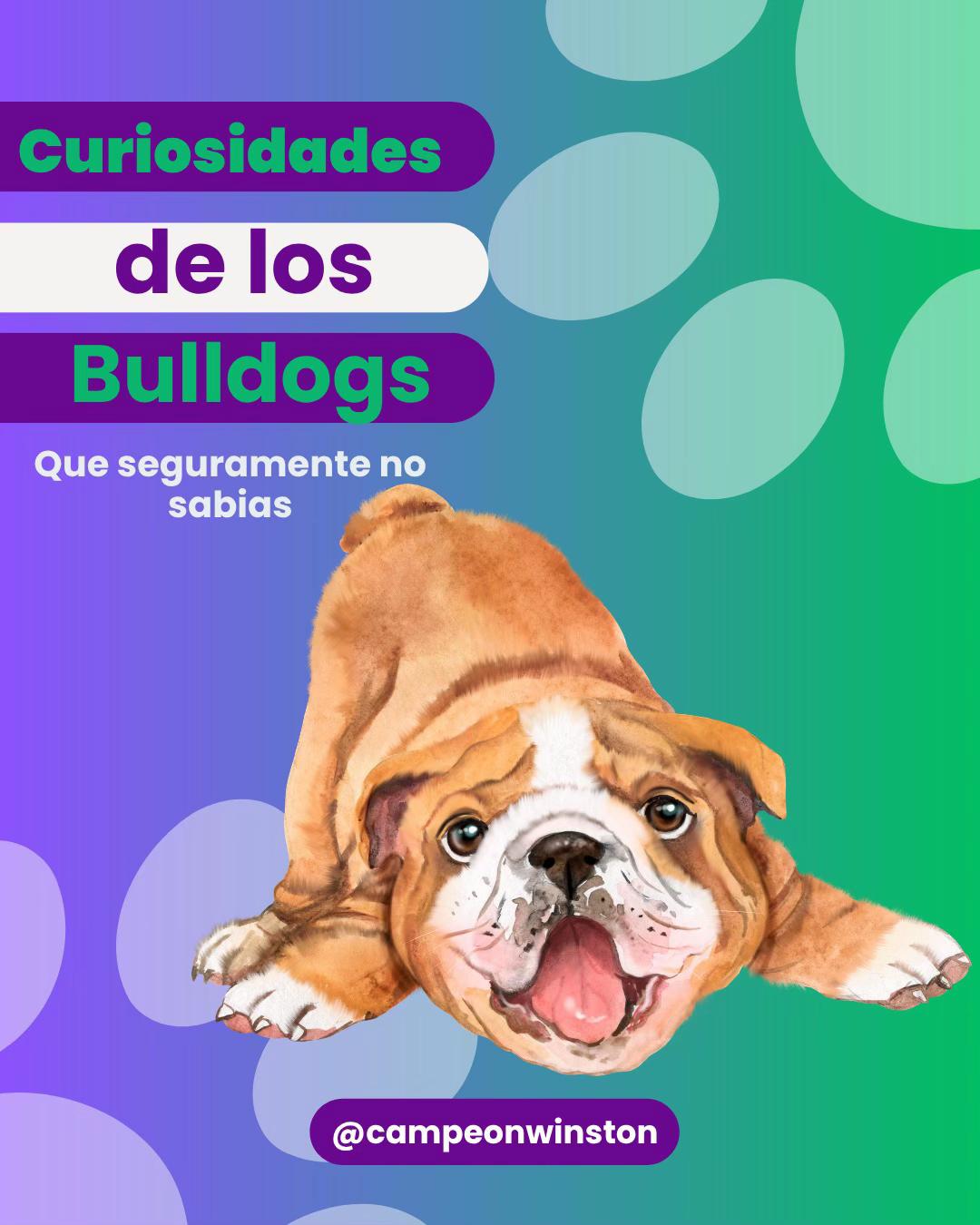 @Campeón Winston