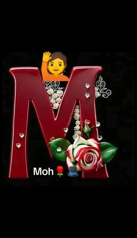 @Moh Mohamed753