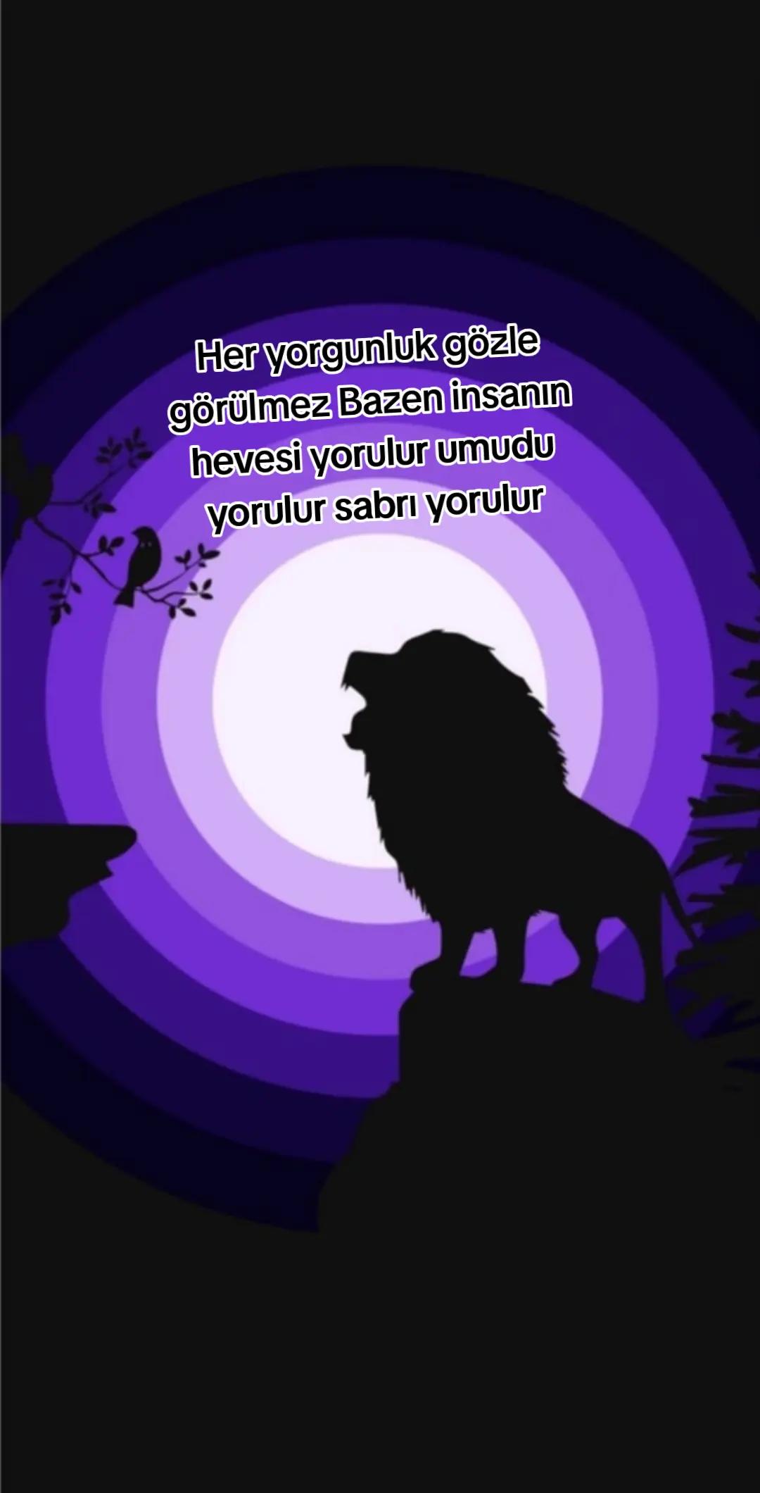 @S&uuml;leyman
