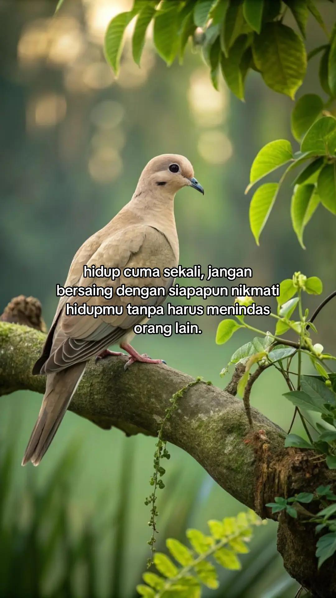 @wisnu23