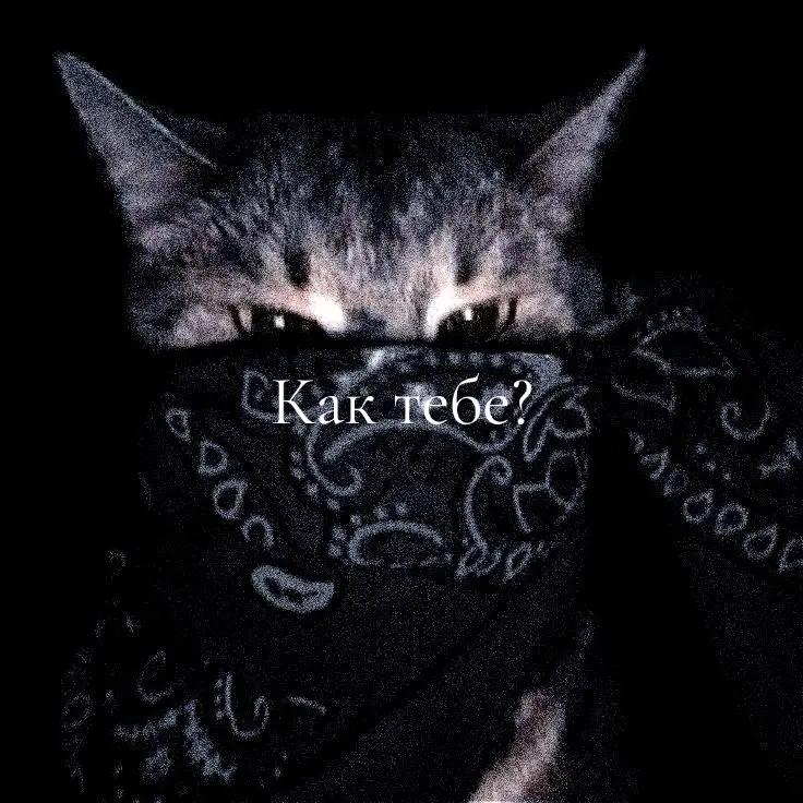 @~𝕲𝖗𝖚𝖘𝖙𝖓𝖞𝖞 𝖐𝖔𝖙𝖎𝖐~