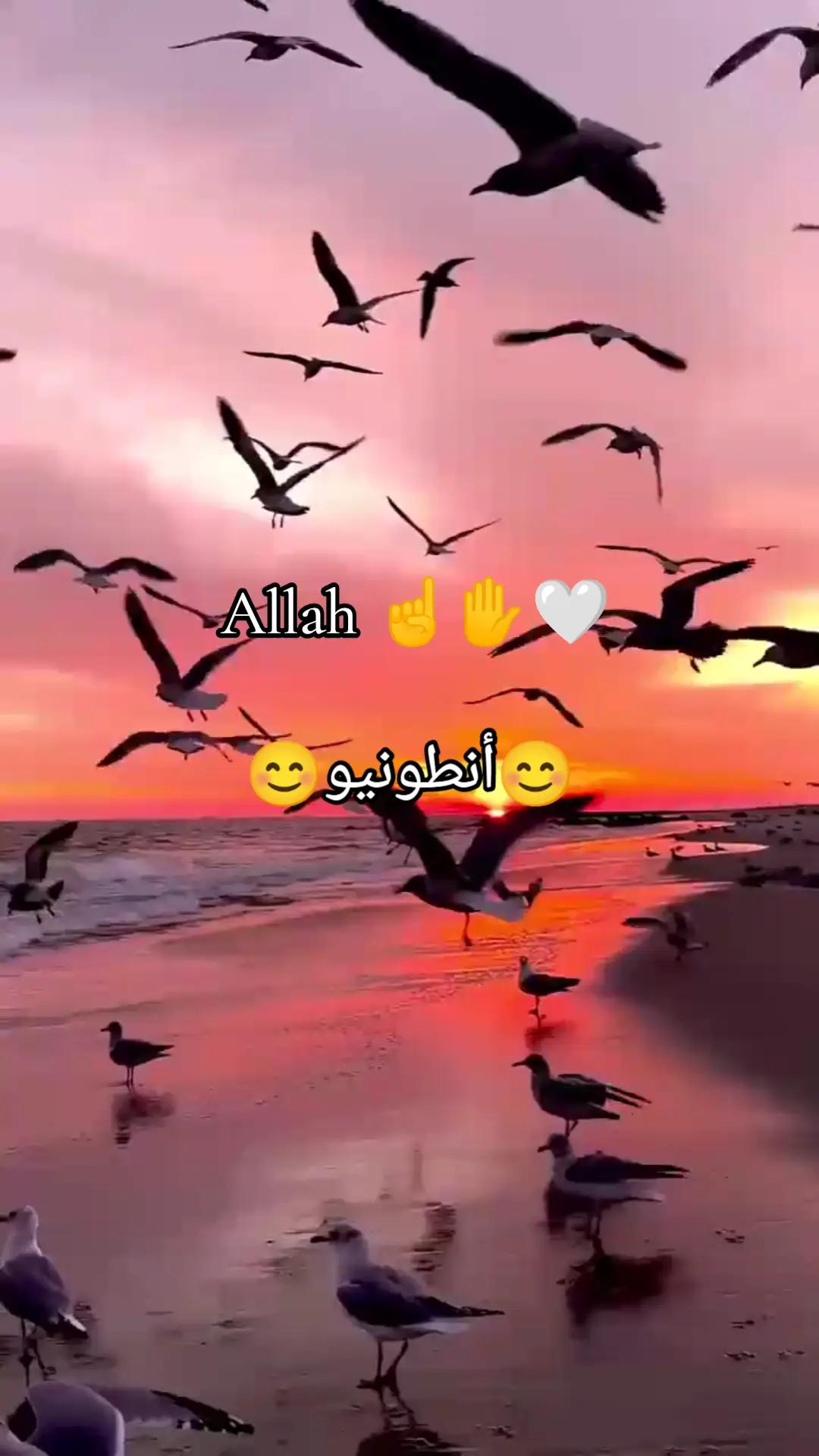 @😶&zwj;🌫️☝️أنطونيو