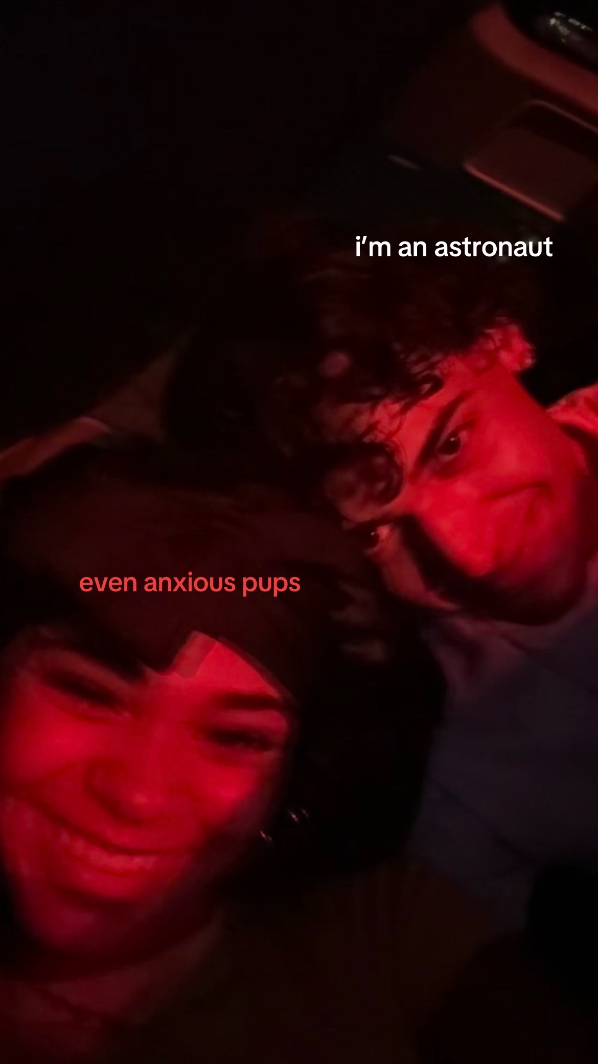 @ydk me