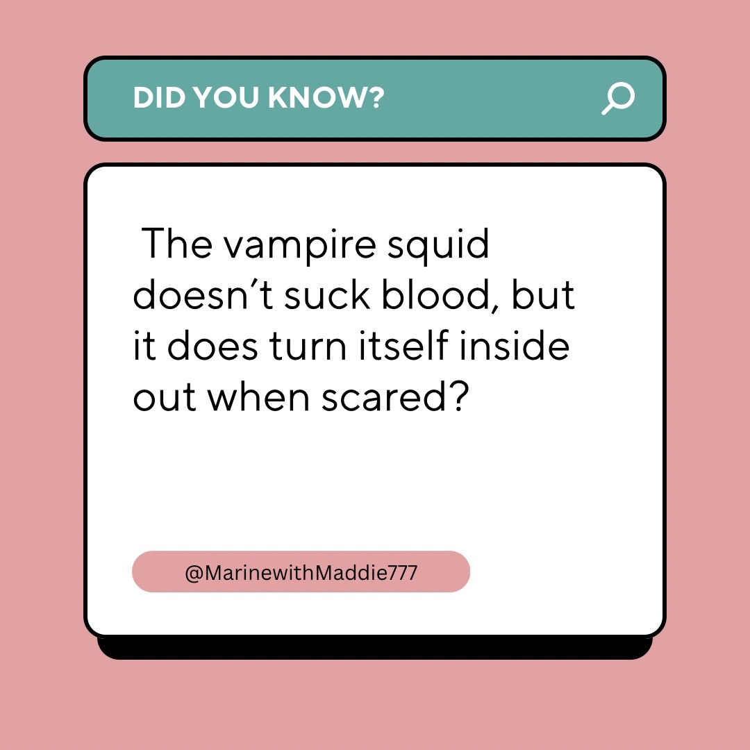 @Your Ocean BFF & Fun Facts🪼