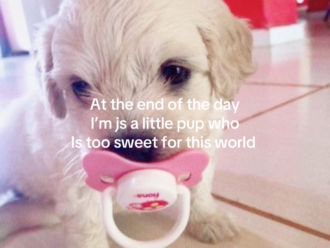 @:/