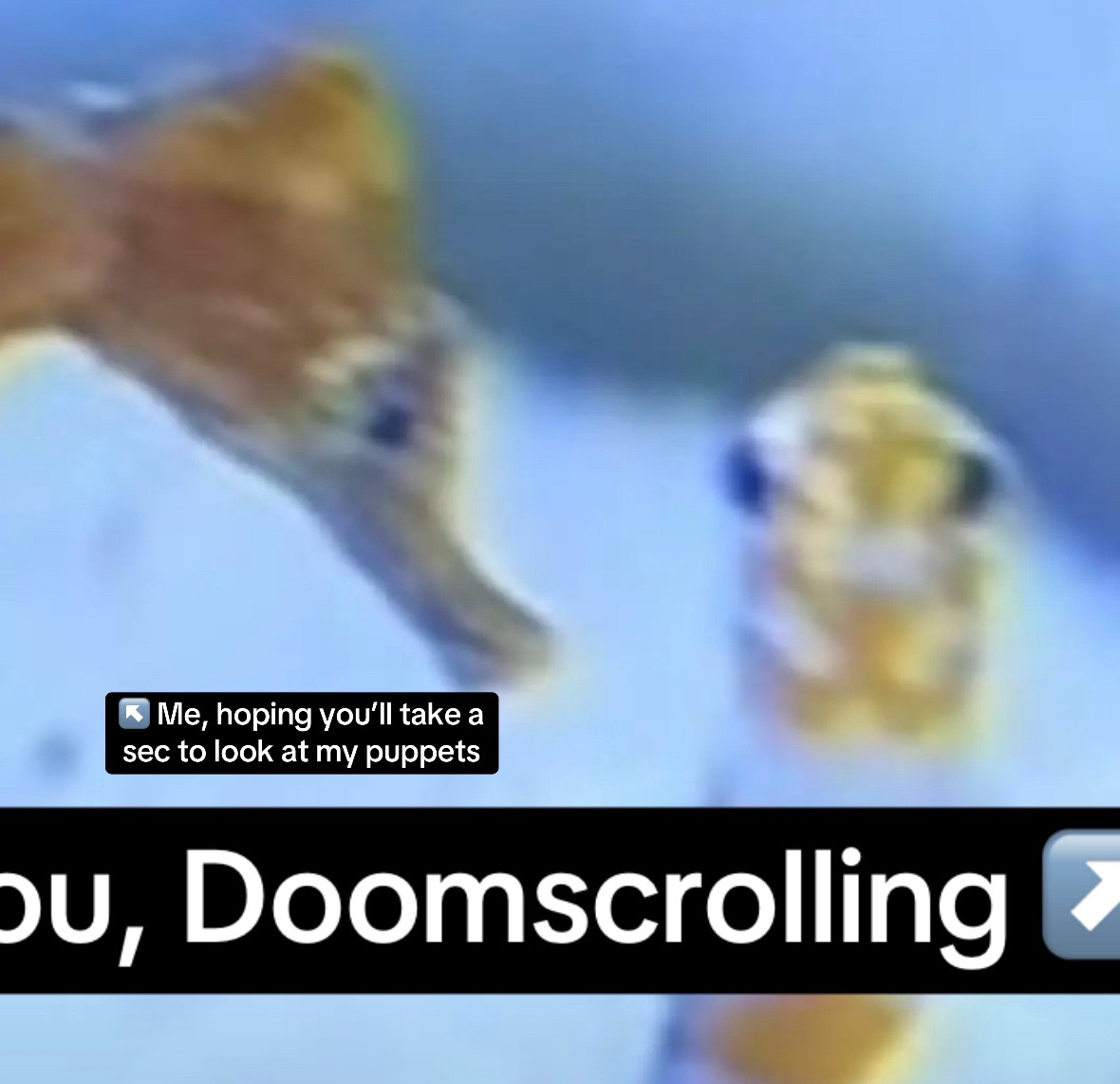 @CryptidsInYourCloset
