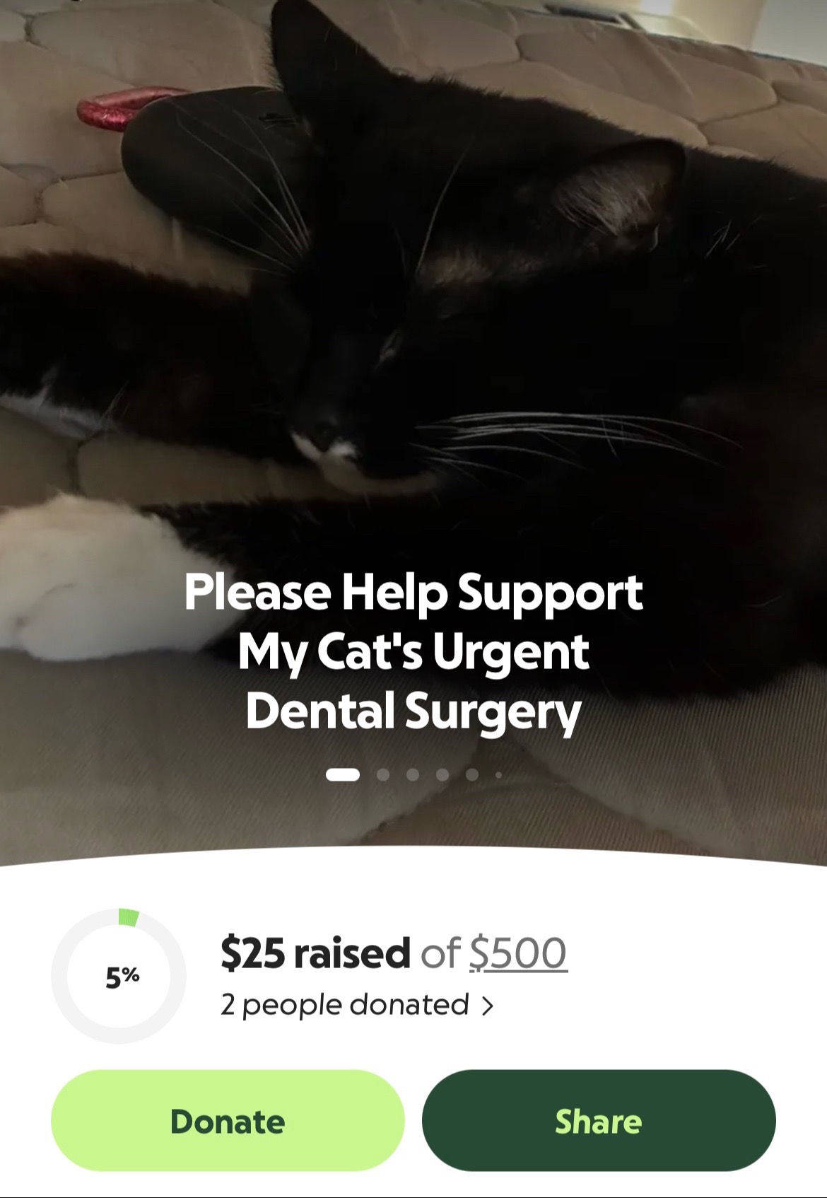 @Gremlin_Fundraiser