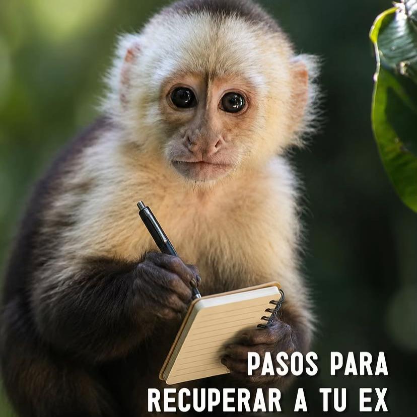 @Conversaciones WhatsApp 🥺💔