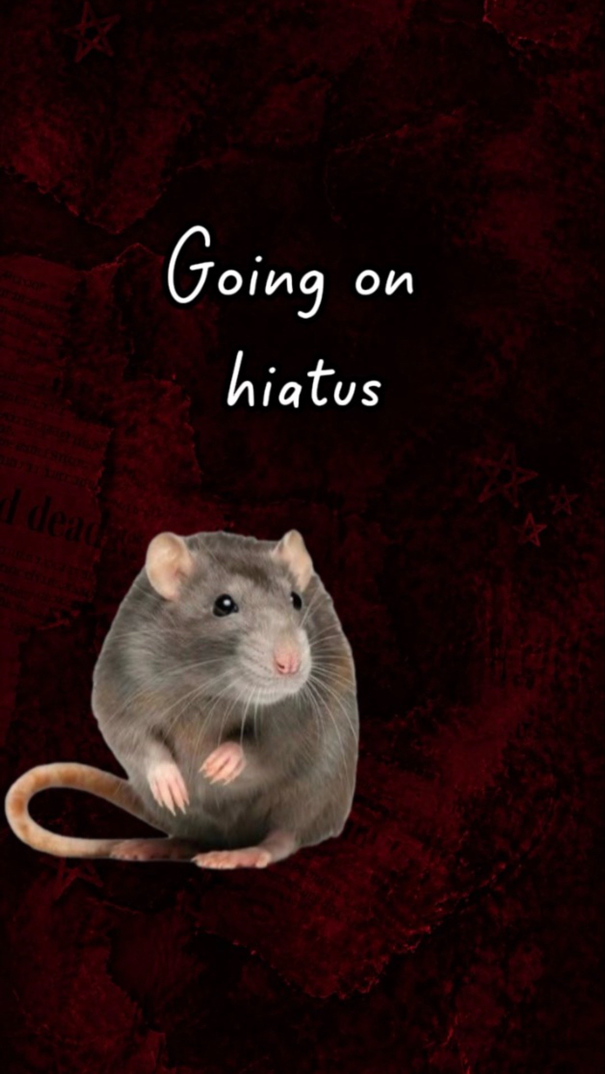 @โ๐ฃ๐๐๐ค๐ ๐ โ๐๐ฅ(On Hiatus)