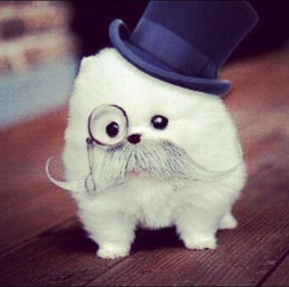 @ʚ❤︎ɞ