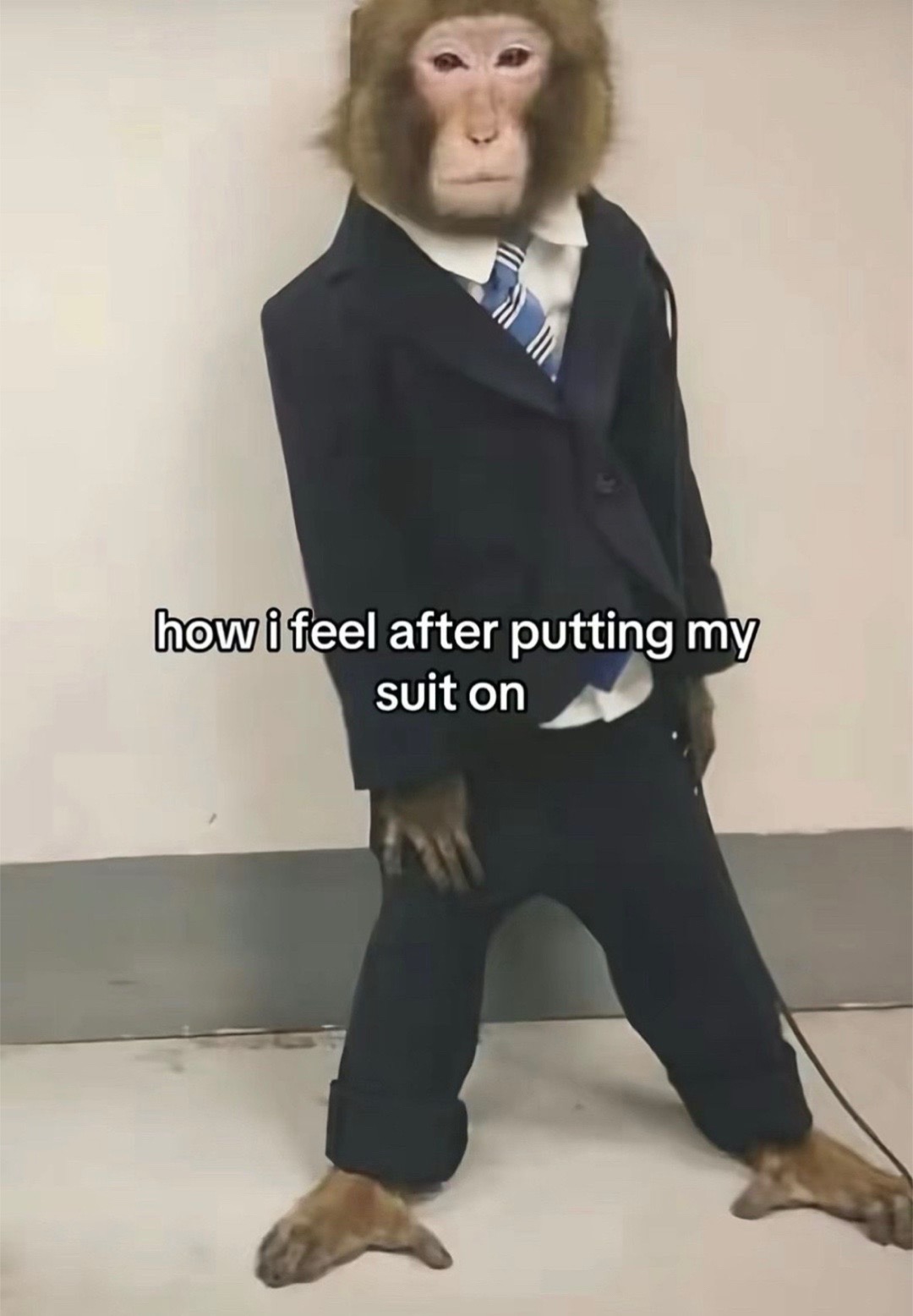 @Cash