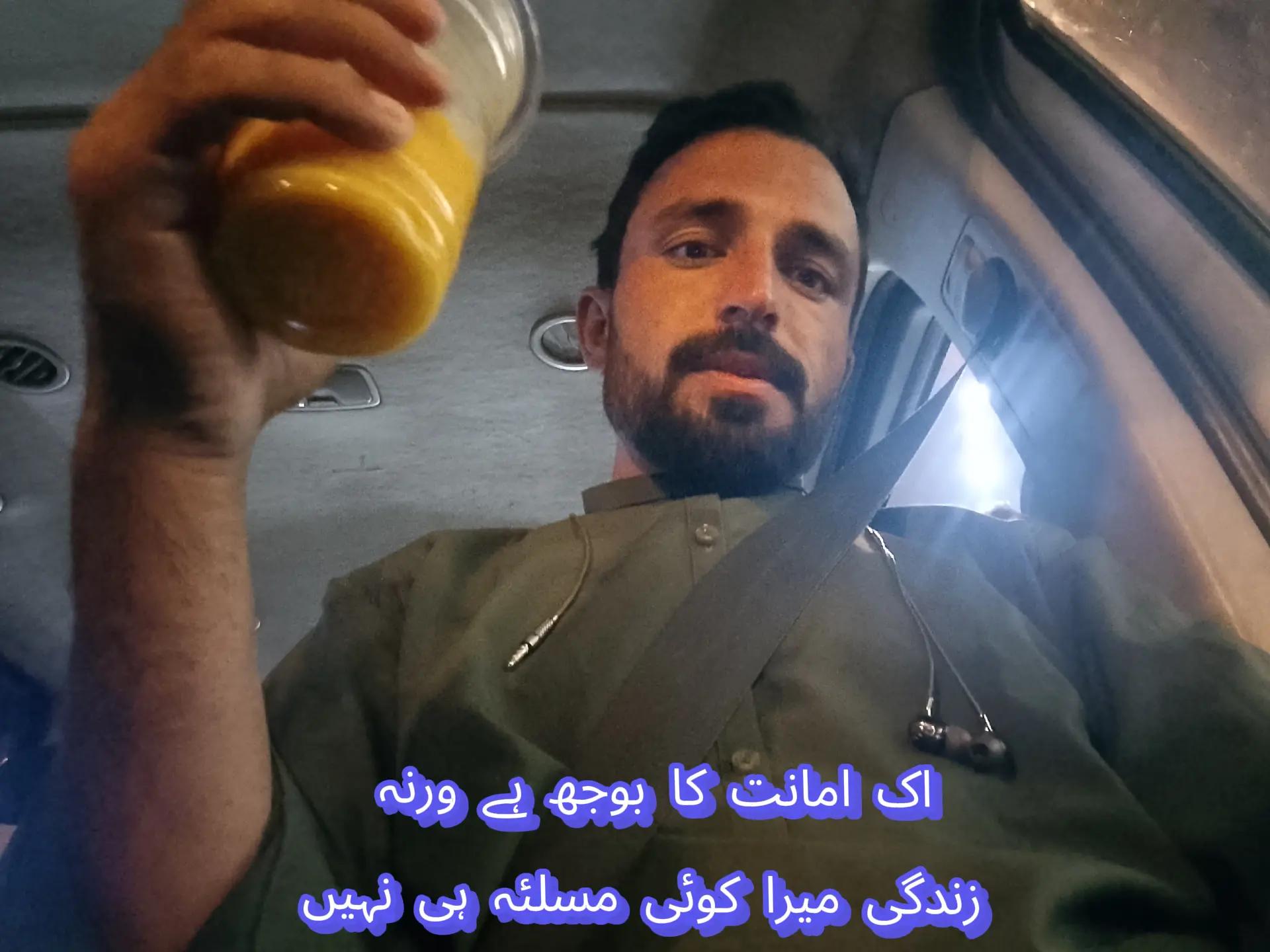 @🕊️