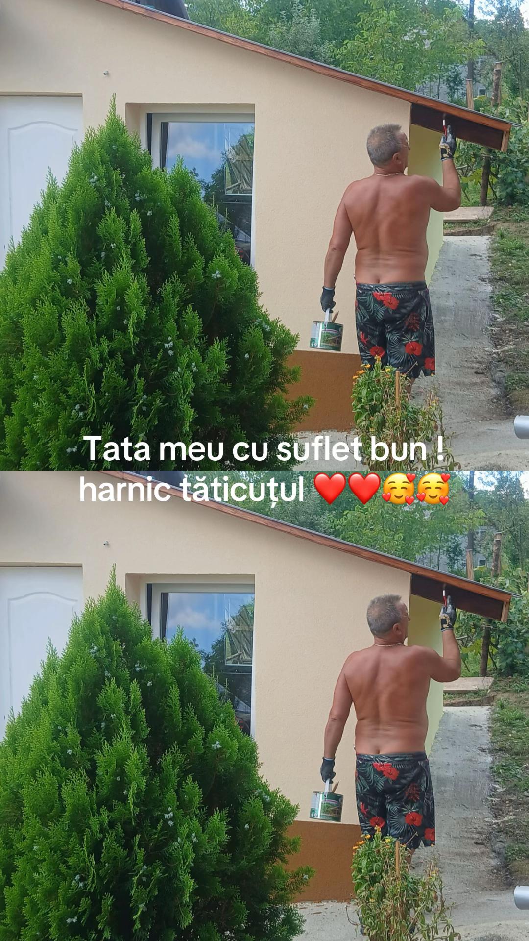@Gabriel simonca