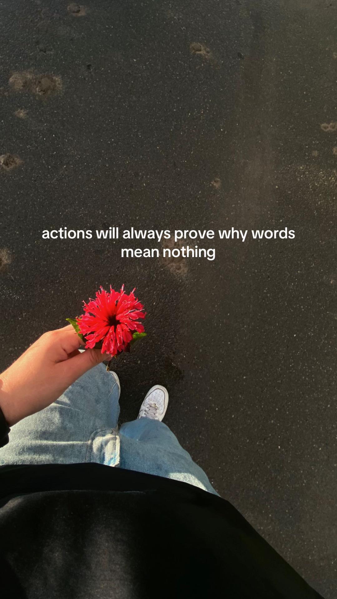 @ɭ๏ยเร