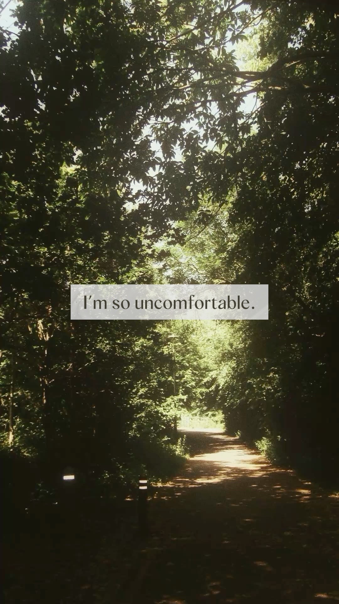@thehiddenlife