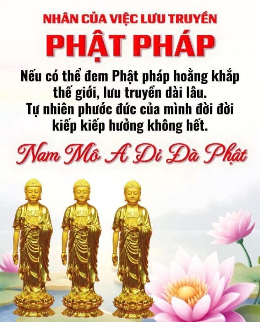 @Mỹ Phẩm Mới 68