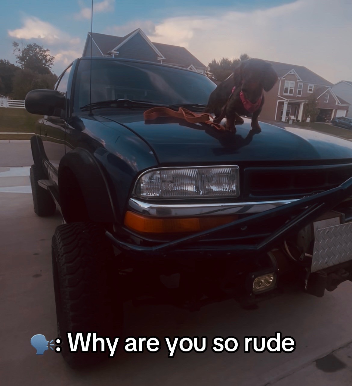 @theyluv_Kaydanc