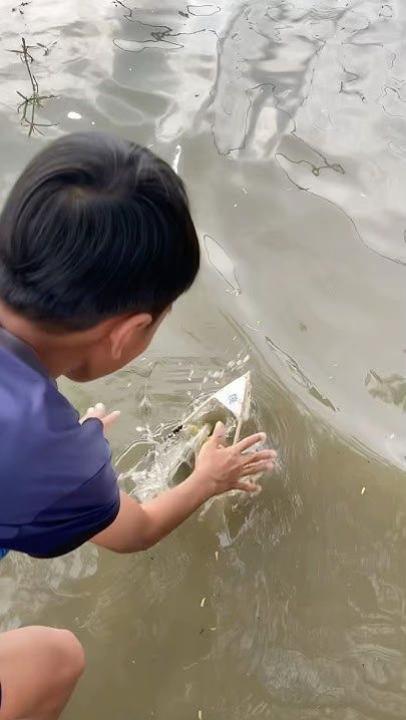 @Thả diều cùng Lợi