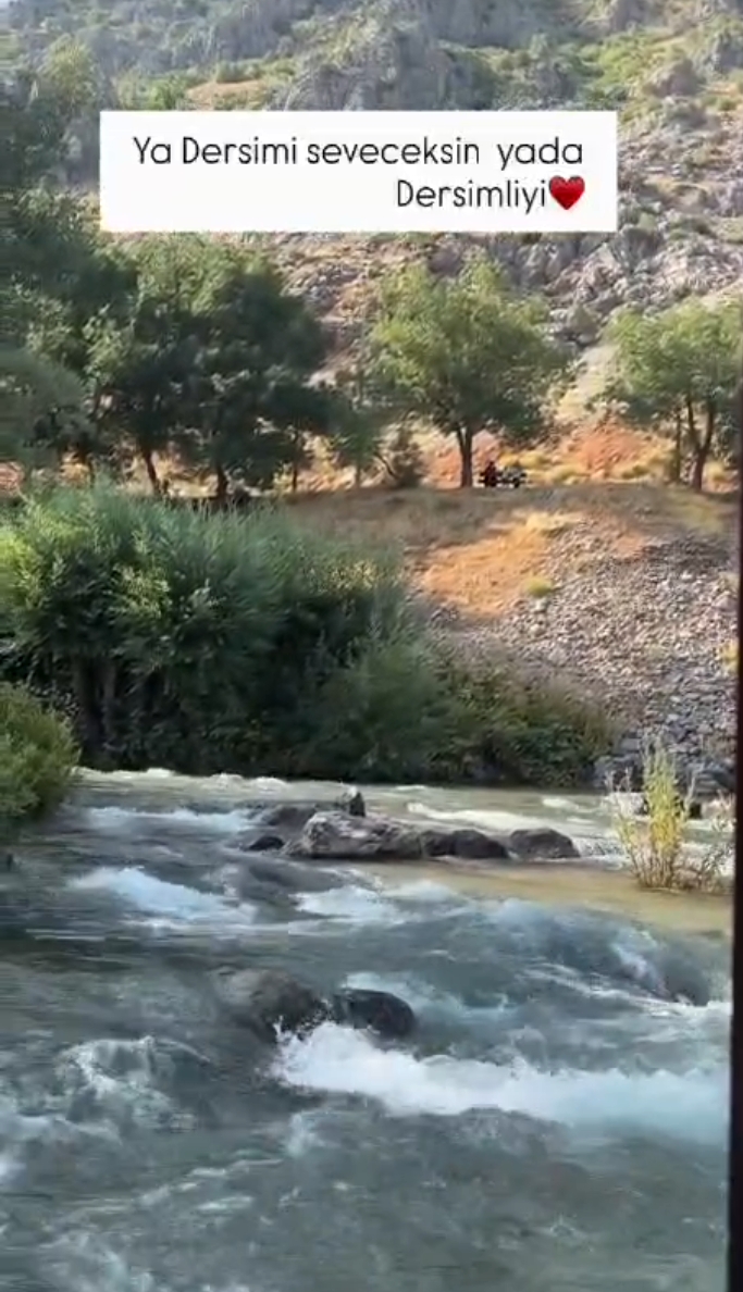 @seda kök