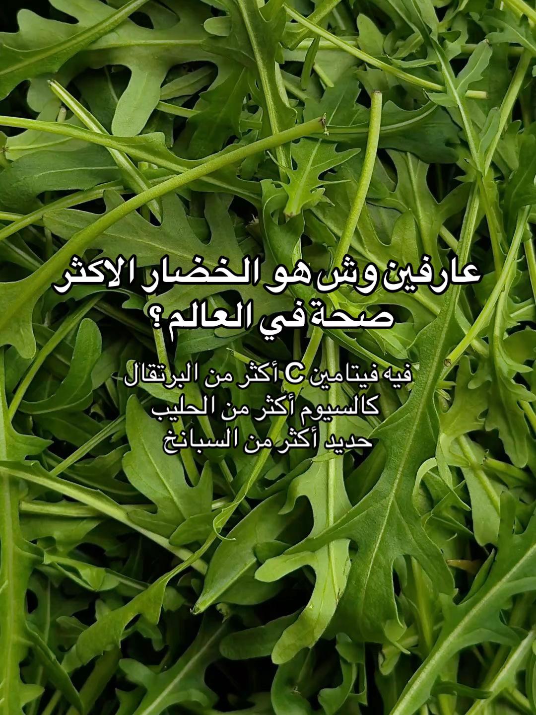 @Ayesha ⏾