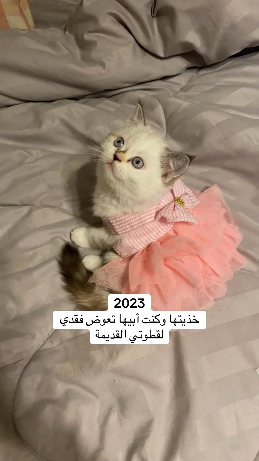 @MILA🤍LUNA