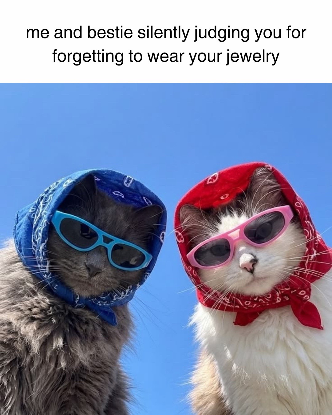 @VeraMeat