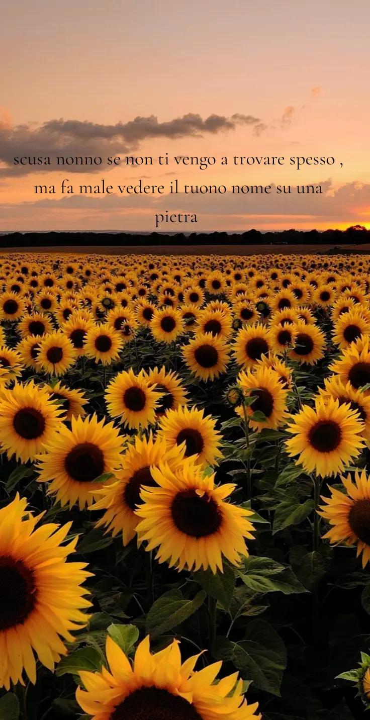 @Aury_Spam