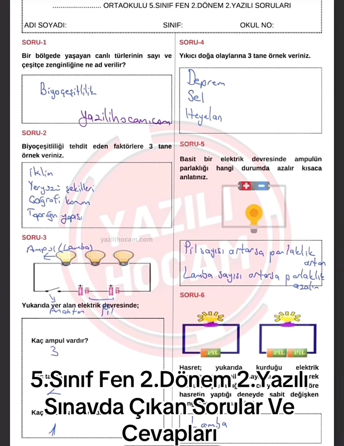 @yazilim_net