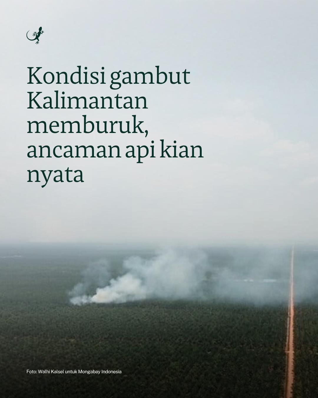 @mongabayindonesia