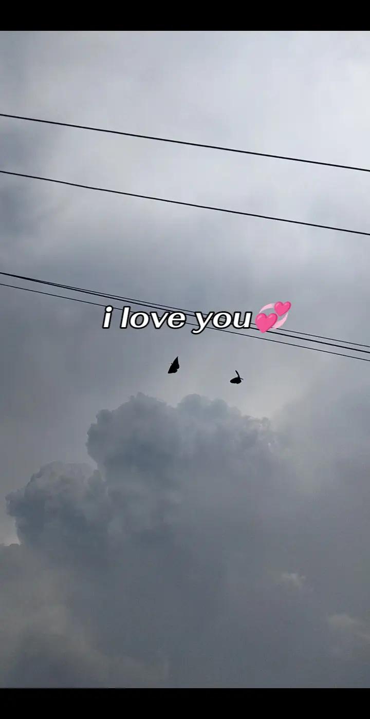@MEI (ᵔᴥᵔ)